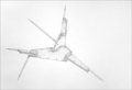 Compasso pangoniometrico E- Lápiz sobre papel cm.43x29-2013-