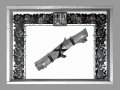"Palo" Acrílico sobre tela, madera, terciopelo, perlas, cristal cm.73x53x15 -1980-