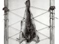 "Volo" Madera, tela, terciopelo, perlas, plástico, bacalao cm.70x50x7 -1980-