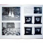 2003 Catalogo _Artisti a Mantova nei secoli XIXº e XXº_ Archivio Sartori -Mantova- (interior d)